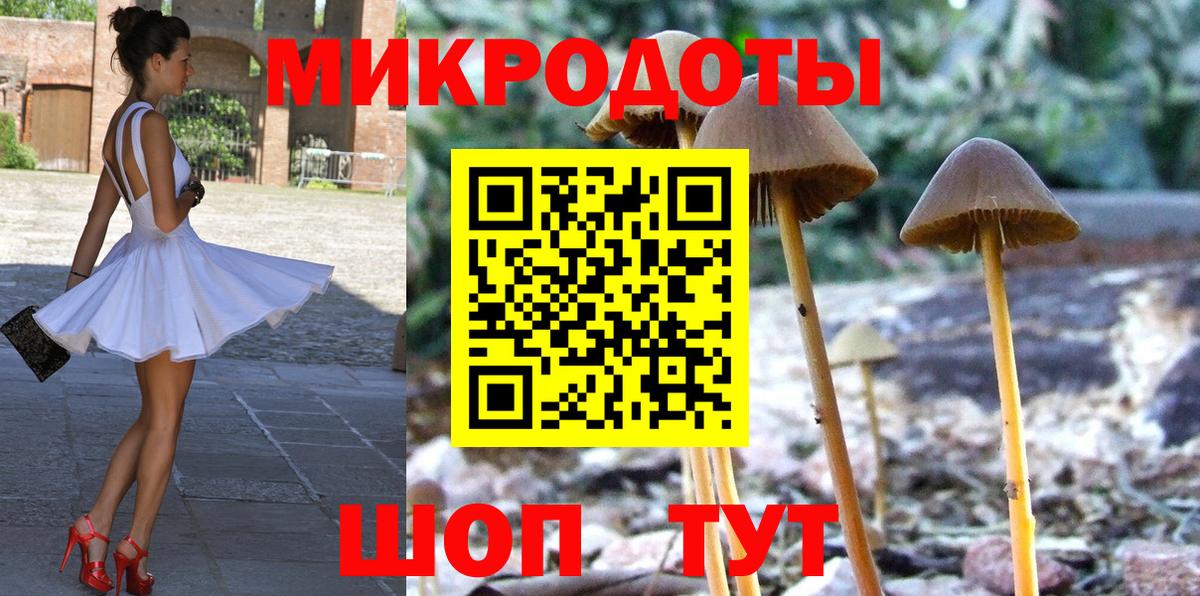 Белебей  Галлюциногенные грибы Psilocybe  Вход с VPN 