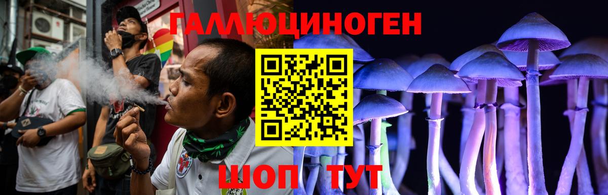 Галлюциногенные грибы Cubensis Белебей